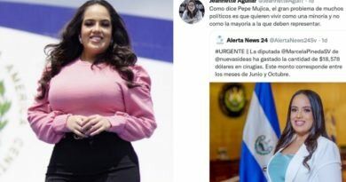 Diputada demandará a catedrática de la UCA por dar RT a publicación de difamación.