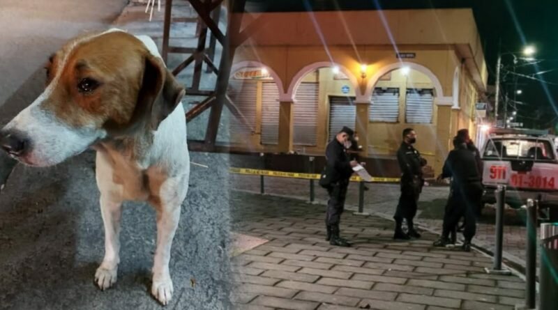 Le quitó la vida a ebrio solo porque le tiró una patada a su perro en Plaza Libertad.