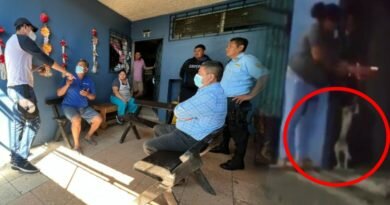 Familia que tiró cuetes a su perrito recibe sanción de más de $3 mil dólares por parte de UBA.