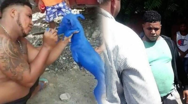 Policía detiene a hombre por pintar mascota completamente de azul.