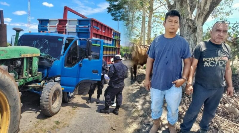 Capturan a sujetos que venían de robar vacas y chocaron con tractor.