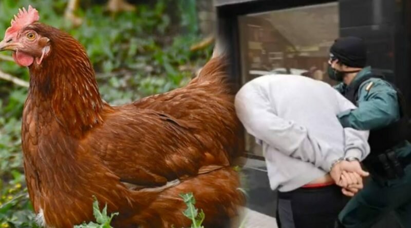 Condenan a hombre que abusó de gallina gracias a presión de la población en Paraguay.