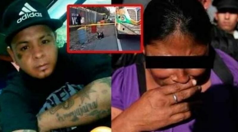Mamá de pandillero fallecido: “él solo robaba en los buses y me lo mataron”.