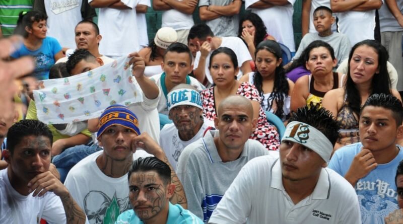 Familiares y mujeres de pandilleros estarían planeando protesta contra el gobierno por capturas de mareros.