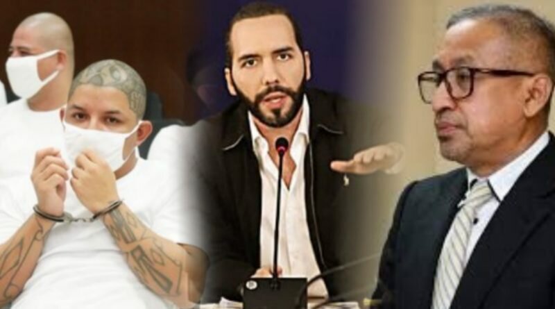 Pandilleros que dejó en libertad juez de Panchimalco, no saldrán libres enfatiza Nayib Bukele.