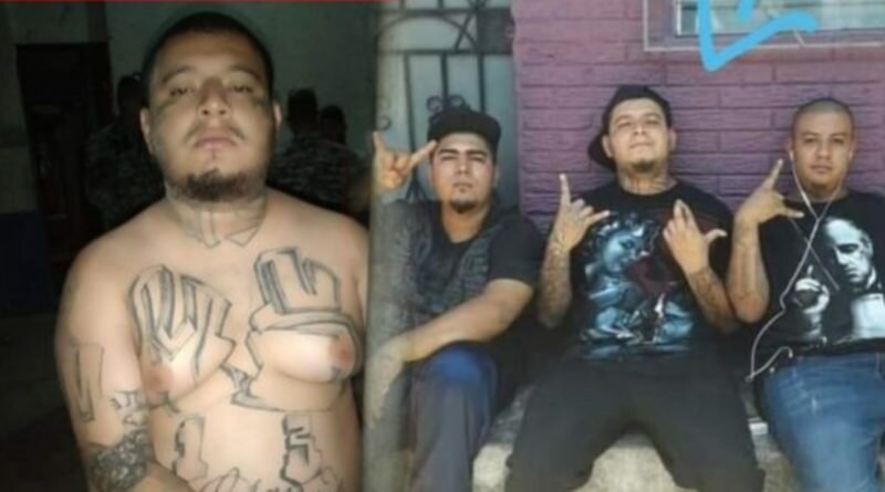 Capturan a peligroso pandillero de Las Margaritas que se jactaba en redes sociales.