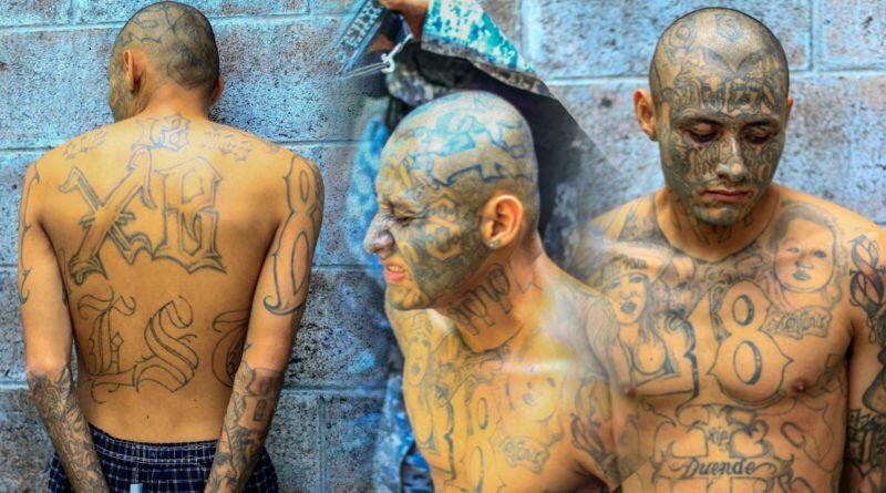 Capturan a peligroso pandillero de la 18 que delinquian en toda la Altavista.