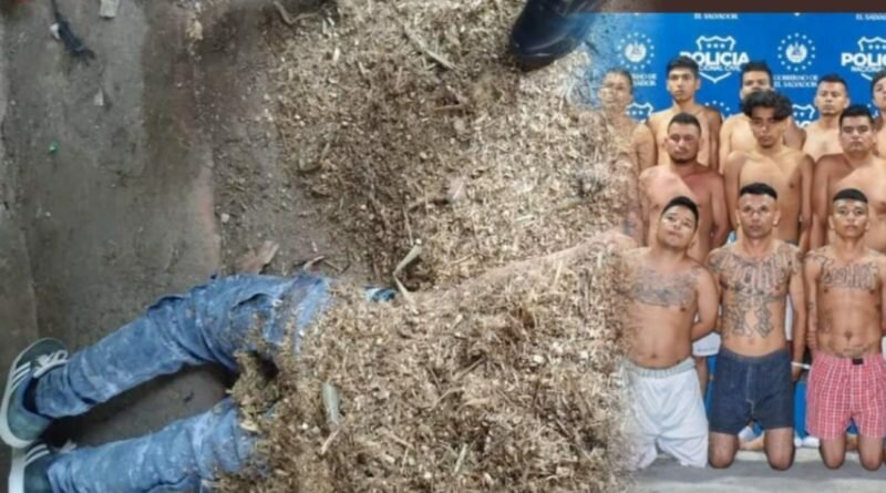 Pandillero se esconde en desechos de vacas para intentar no ser capturado por la PNC.