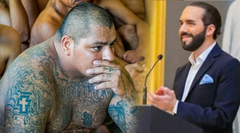 ¡Mareros preocupados! Juez determina cárcel para otros 763 pandilleros capturados en régimen de excepción.