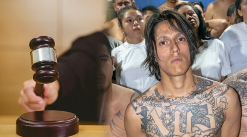 2219 pandilleros a prisión y 2 demostraron que no eran mareros, por lo que ya están libres.