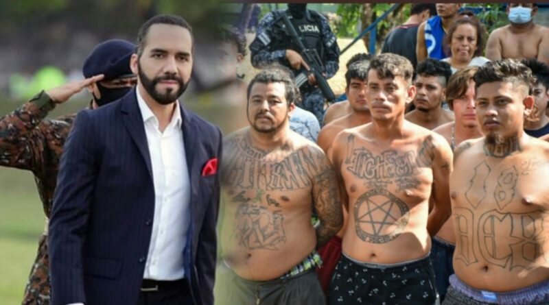 Presidente Bukele celebra que el país ya registra 12 mil pandilleros capturados.