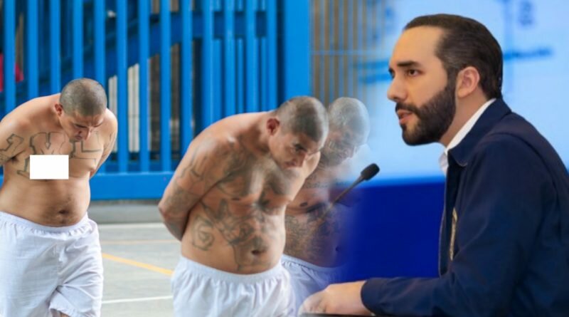 Bukele no está jugando, son 30 años de cárcel para los pandilleros solo por serlo más los delitos.