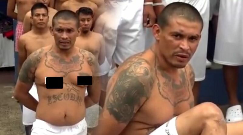 Pandillero comienza a rezar en árabe cuando fue capturado y asegura que es musulmán.