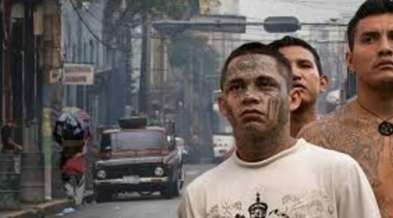 “El día que fui arreglar el cel al Centro y los mareros por poco y me matan”, Joven relata sufrimiento con las maras.