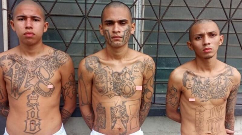 Juez los premió sólo con 3 años de cárcel, ahora regresan para cumplir la condena completa.