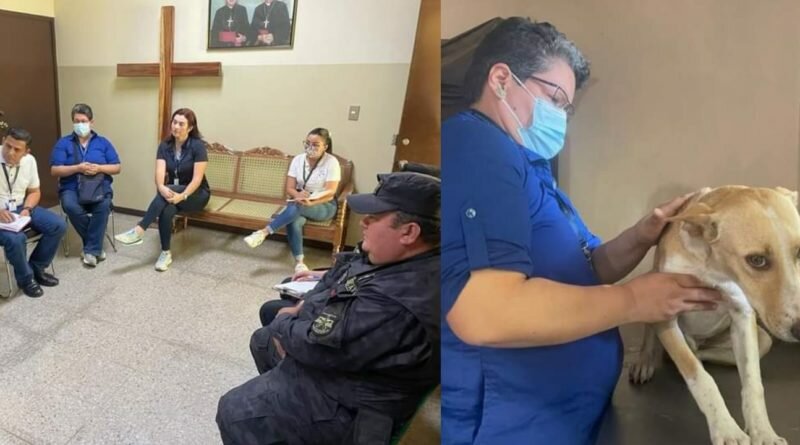 Imponen la sanción más alta a Universidad Católica UNICAES por maltrato animal.