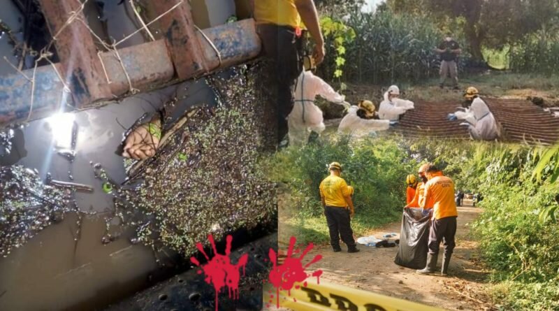 Mujer No identificada fue encontrada sin vida en La Libertad “feminicidio”